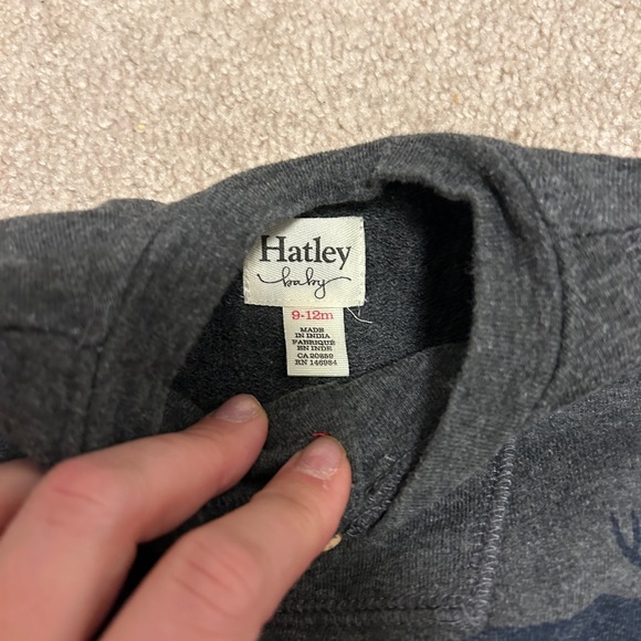 Hatley sweatsuit 9-12 months - Picture 2 of 2